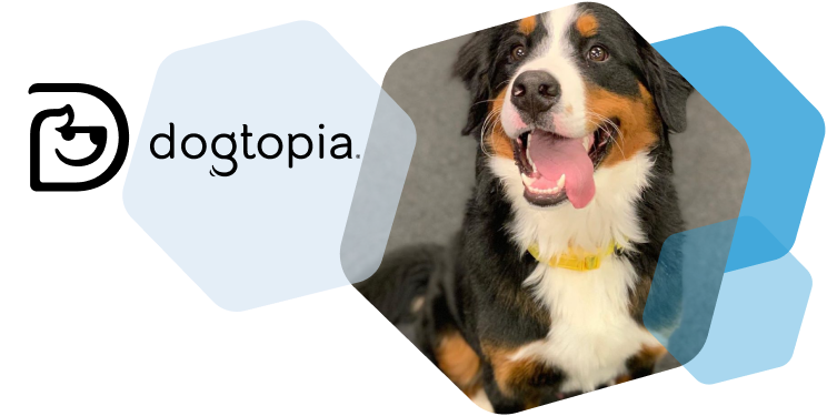 Cart.com partner Dogtopia