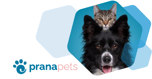 Cart.com Partner Prana Pets
